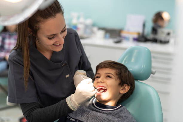 Best Emergency X-Rays and Diagnostics in Lewisport, KY